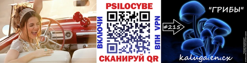 Псилоцибиновые грибы Psilocybe  Калтан 